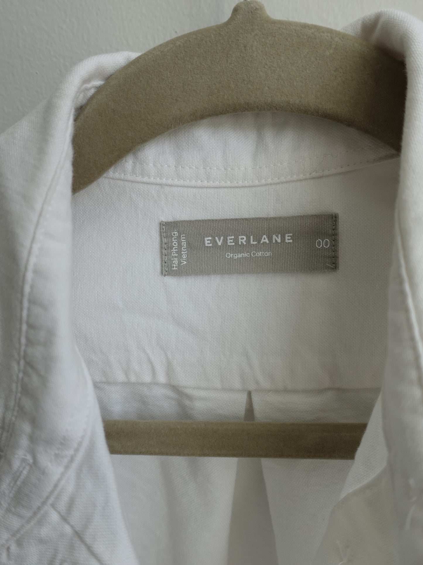 Everlane Button-Up Shirt in Essential Cotton, White