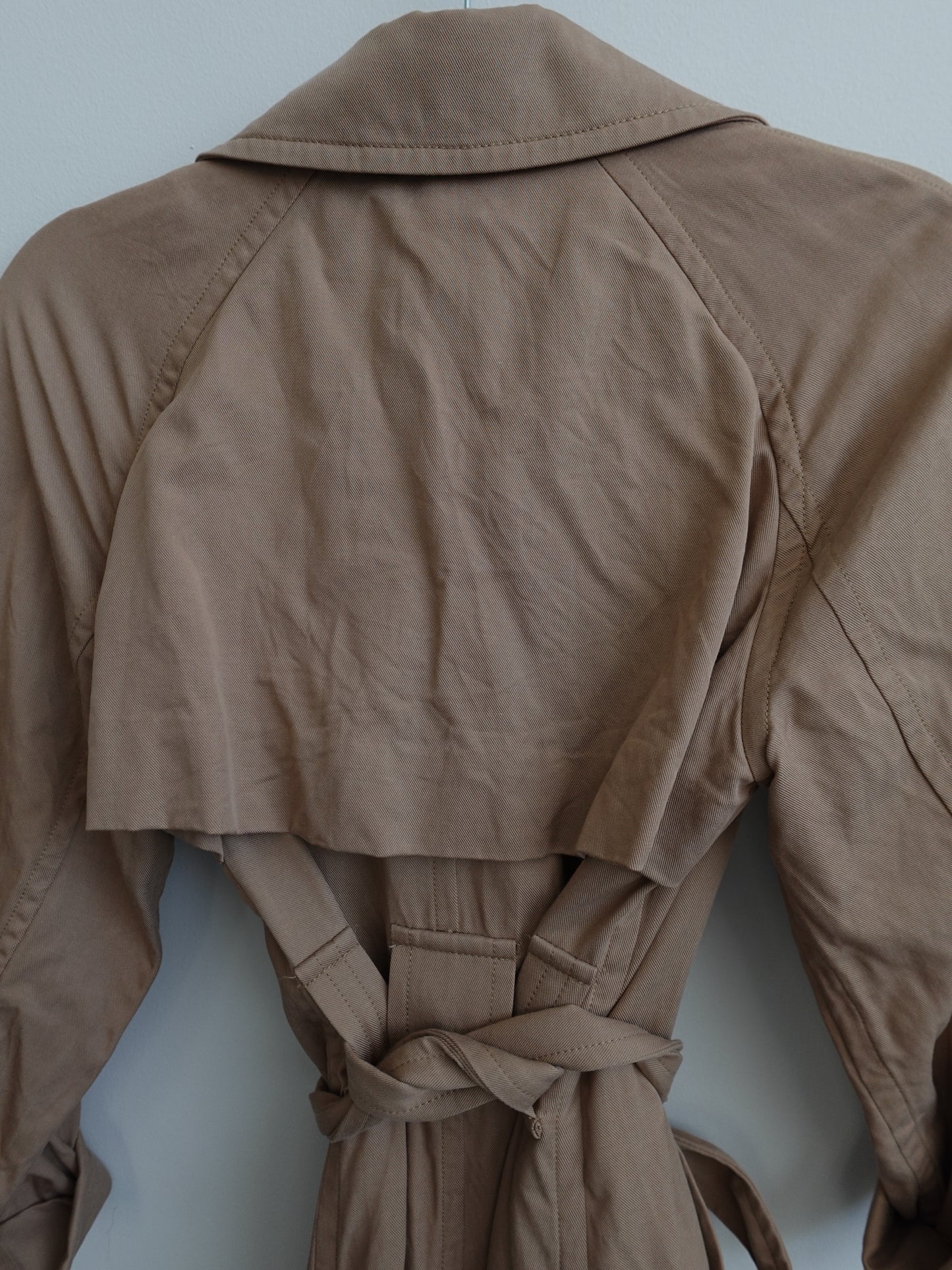 Everlane Trench Coat